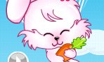 Mon Mignon Animal Domestique 2