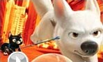 Run Bolt Run