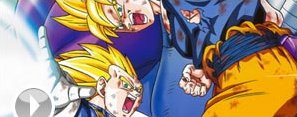 Dragon Ball Fierce Fighting 2.2