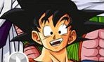 Goku Memory